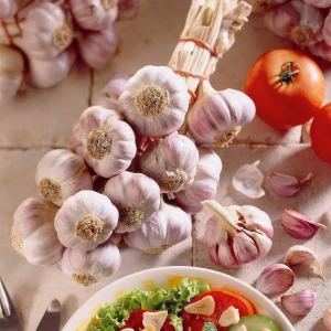 Ail violet Germidour