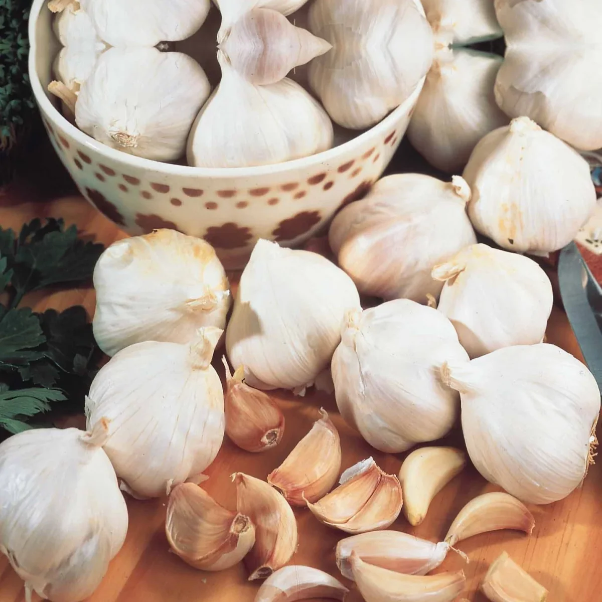 Ail rose Gayant – Image 2