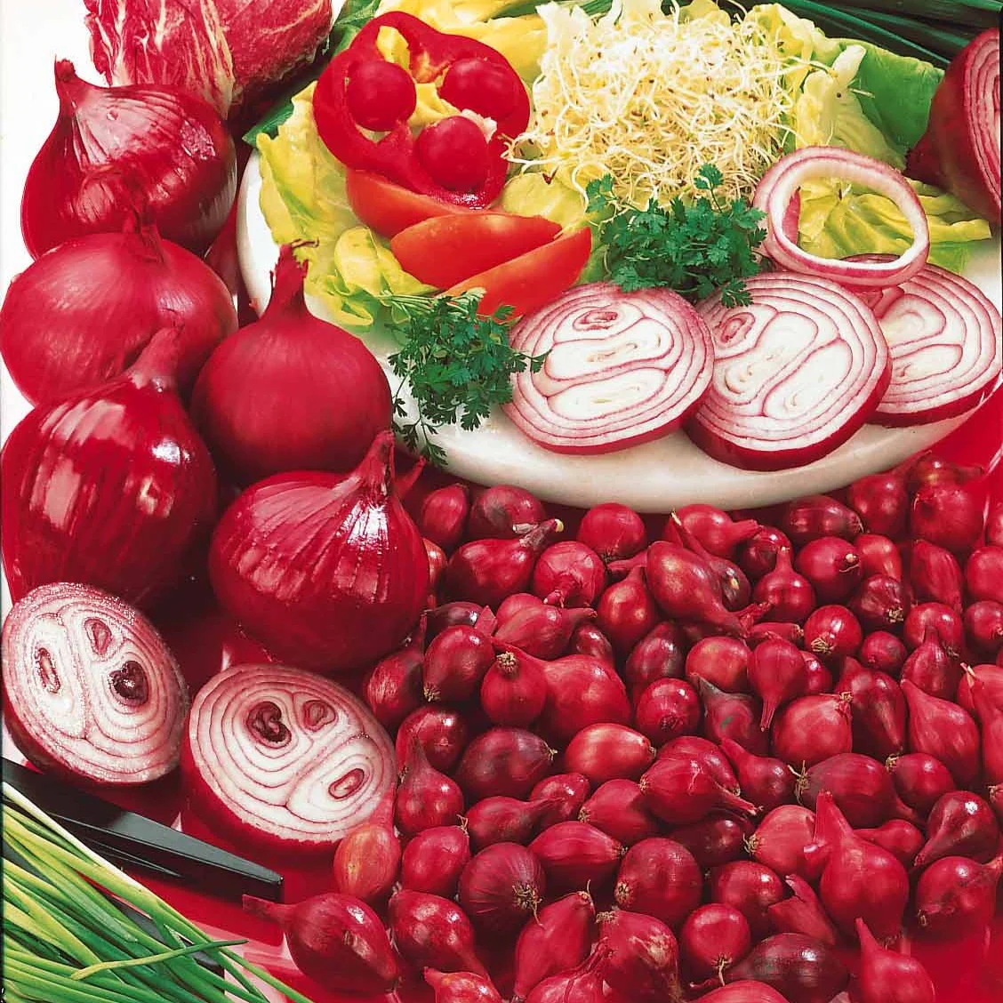 Oignon Rouge foncé de Brunswick – Image 6