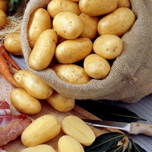 25 Pommes de terre Bernadette Bio