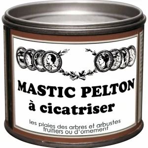 Mastic à cicatriser Pelton