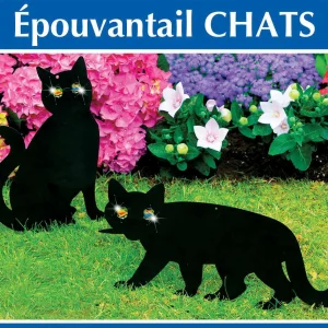 2 Epouvantails chat