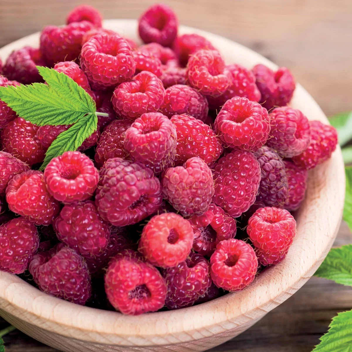 2 Framboisiers remontants Paris – Image 2