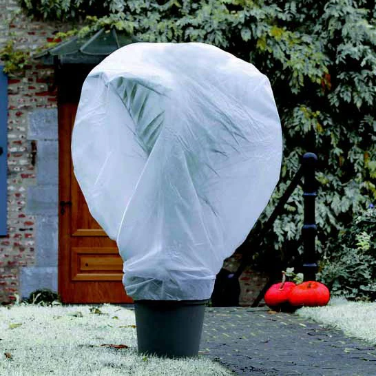 Voile de protection – Image 2