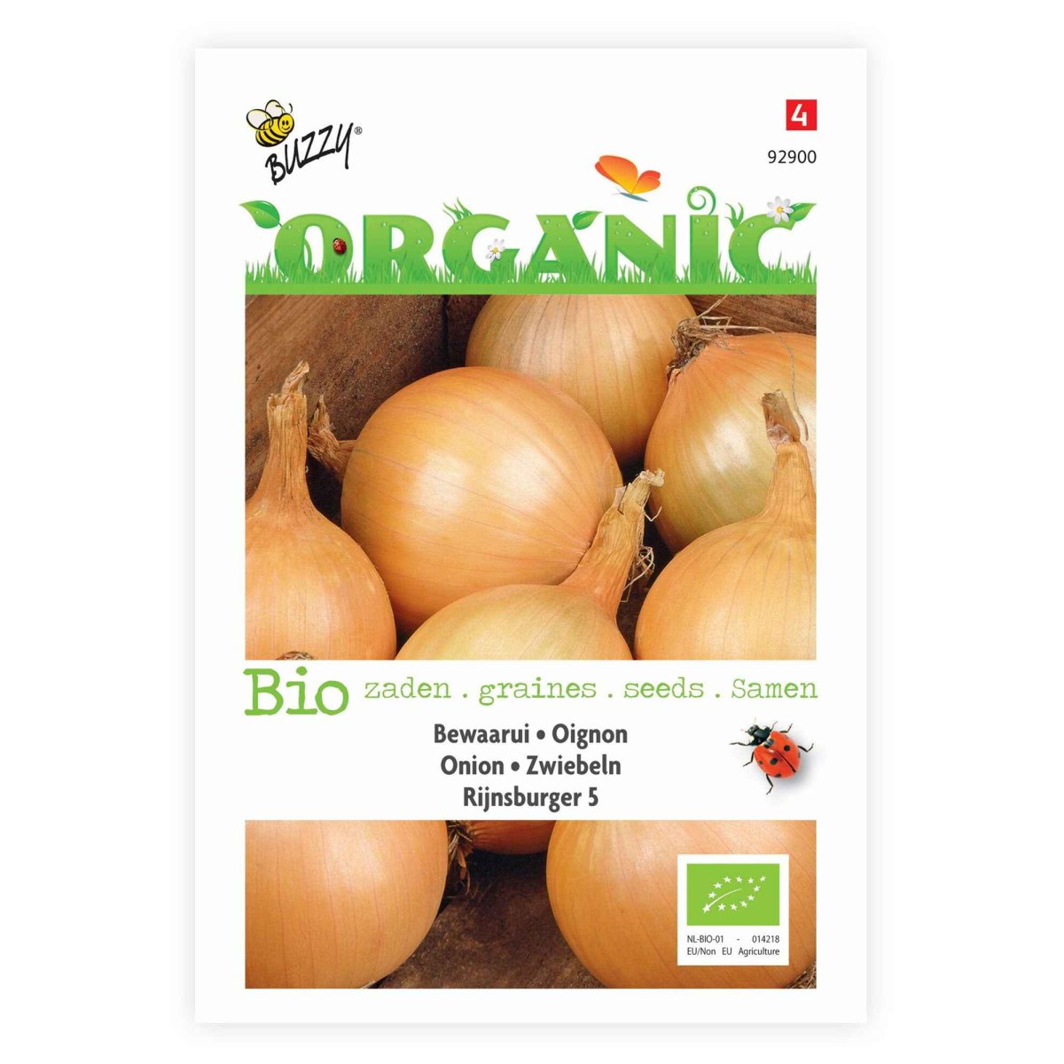 Oignon jaune 'Rijnsburger 5' – Image 3