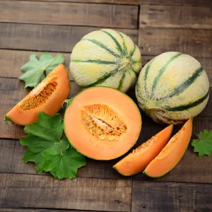 Melon Cantaloup charentais