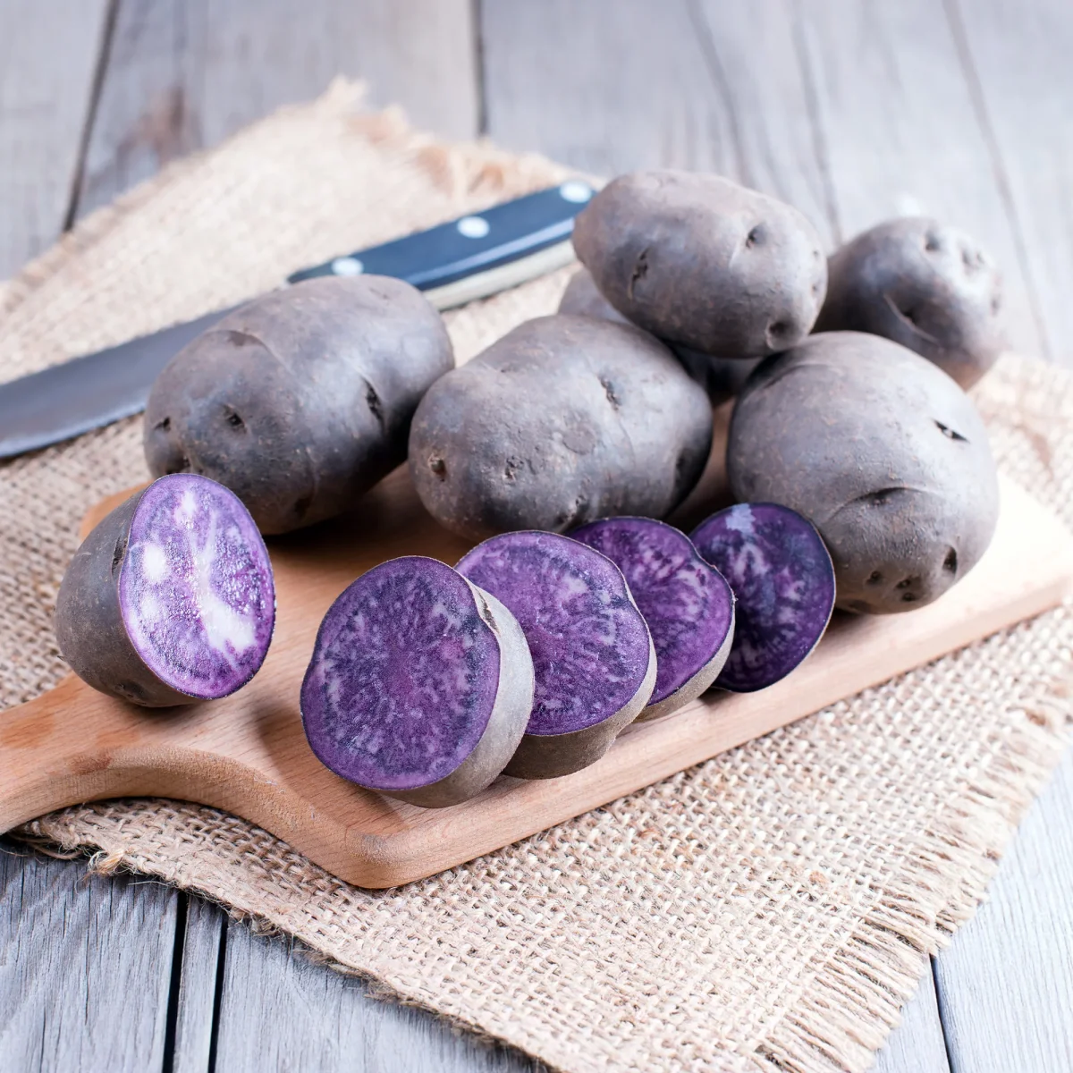 10 Pommes de terre Bleue d'Artois ® - Bleue de la Manche – Image 4