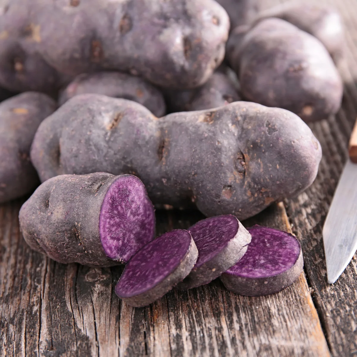 10 Pommes de terre Bleue d'Artois ® - Bleue de la Manche – Image 5