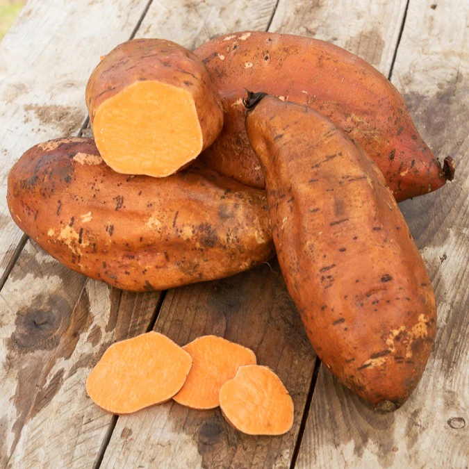 Patate douce – Image 3