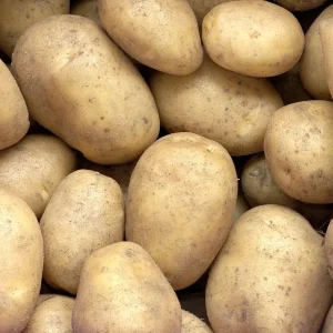 25 Pommes de terre Minette