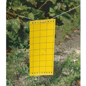 5 Pièges à insectes englués NORTENE