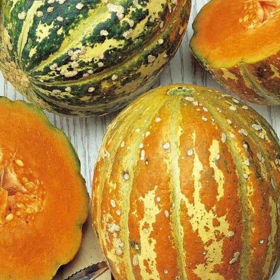 Melon ananas Oranje Ananas – Image 4