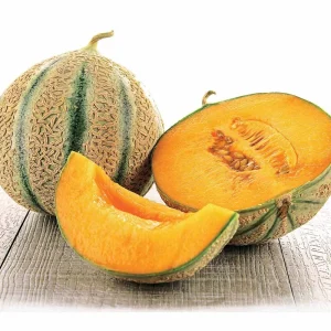 Melon Stellio F1